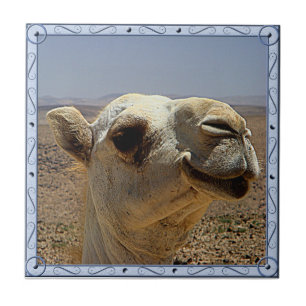 Azulejo da cabeça do camelo