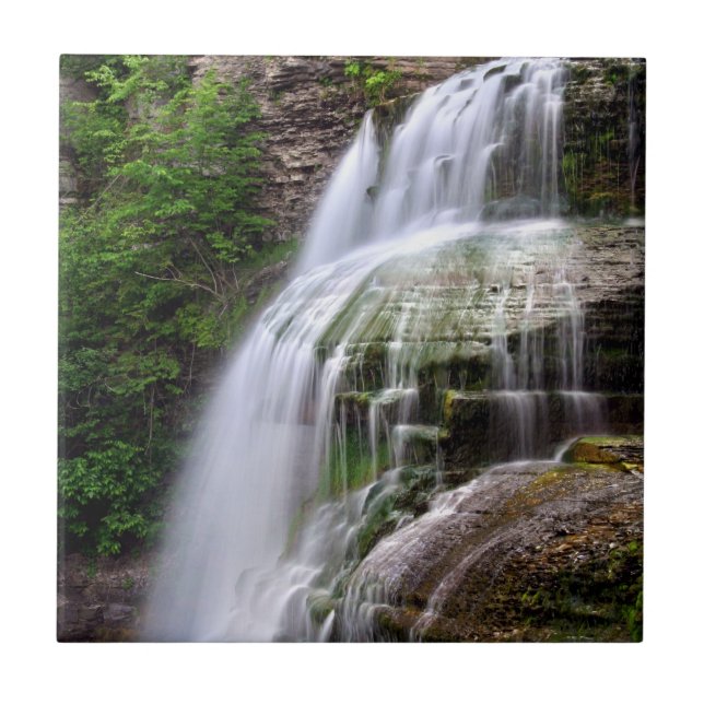 Azulejo da cachoeira (Frente)