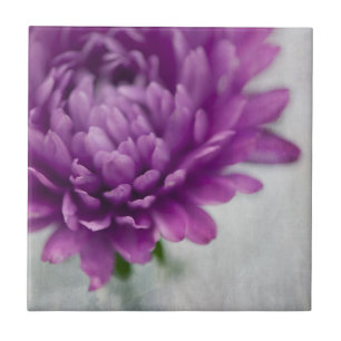 Azulejo da flor da margarida em roxo e em cinzento