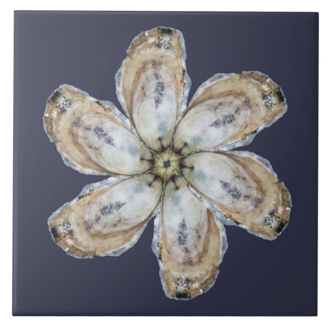 Azulejo da flor da ostra - projete A (Frente)