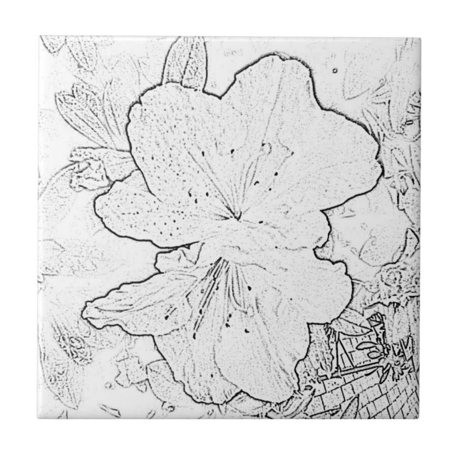 Azulejo da flor preta & branca (Frente)