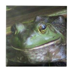Azulejo da foto da rã-gigante