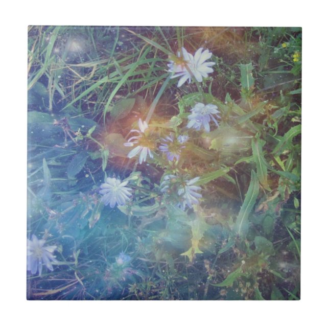 Azulejo da grama da chicória (Frente)