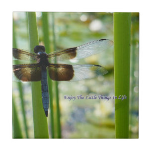 Azulejo da libélula