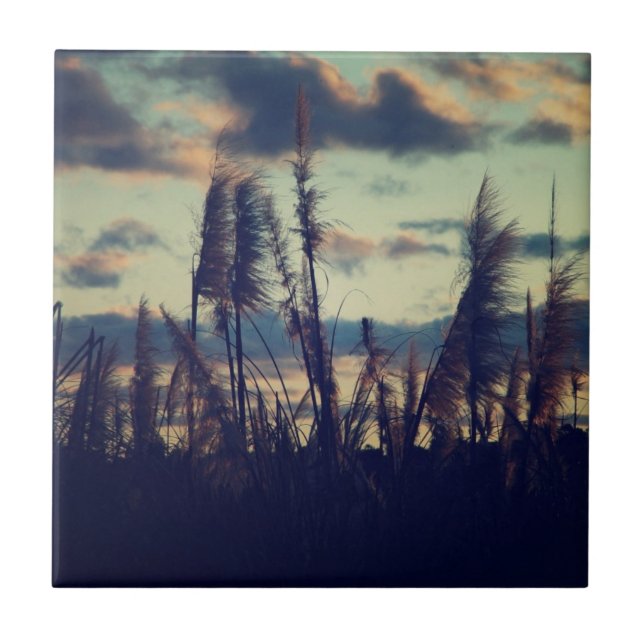 Azulejo da natureza do por do sol (Frente)