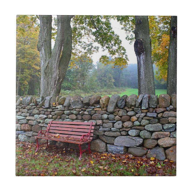 Azulejo da parede de pedra (Frente)