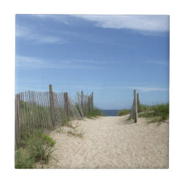 Azulejo da praia de Wrightsville do acesso público