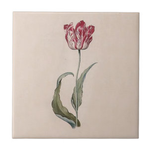 Azulejo da tulipa de Judith Leyster