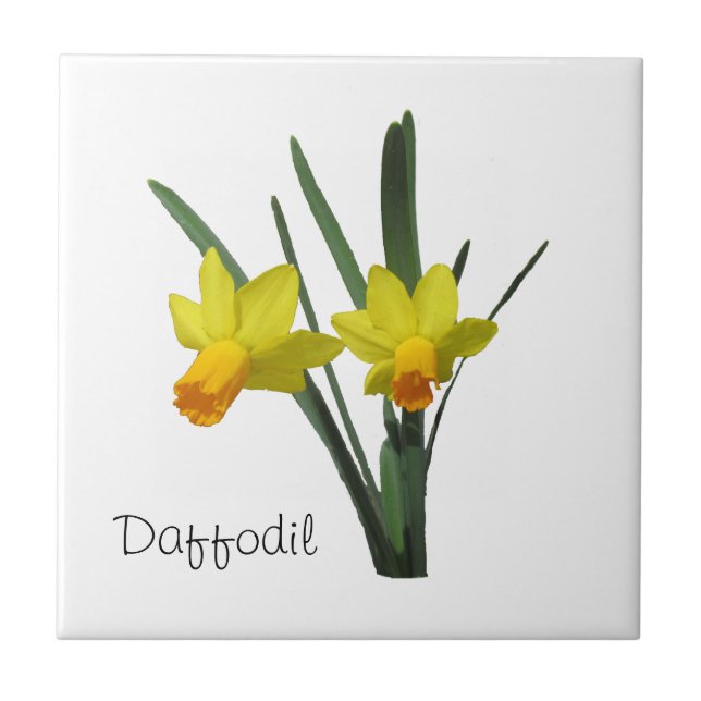 Azulejo - Daffodil (Frente)