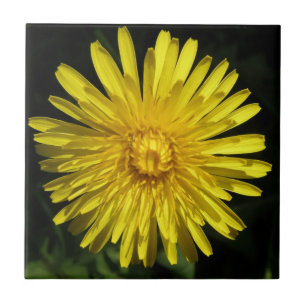 Azulejo Dandelion