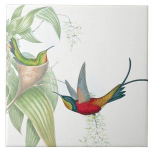 Azulejo das flores dos animais dos animais