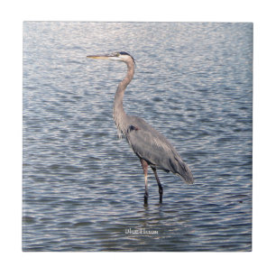 azulejo de água Blue Heron