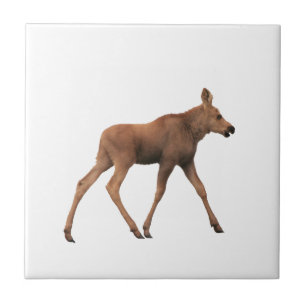 Azulejo de alces do bebê
