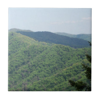 Azulejo de apoio Smoky Mountains 1