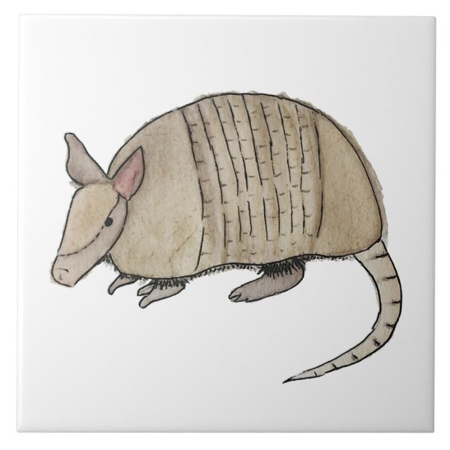 Azulejo de armadillo  (Frente)