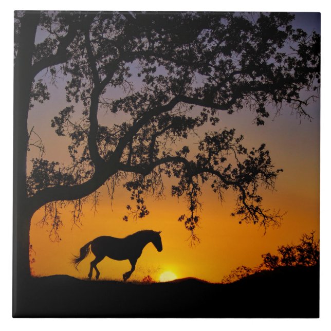 Azulejo de Arte de Carvalho (Frente)