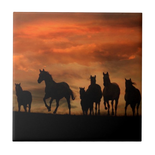 Azulejo de Arte do Cavalo (Frente)