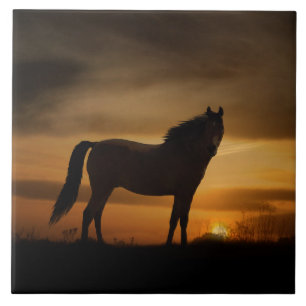 Azulejo de Arte do Sudoeste