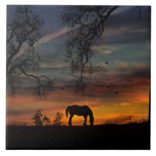 Azulejo de Arte do Sudoeste Incrível