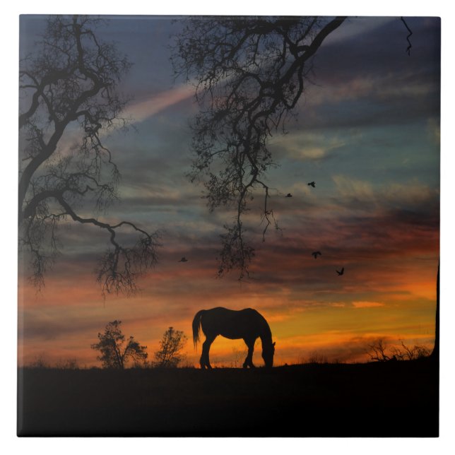 Azulejo de Arte do Sudoeste Incrível (Frente)