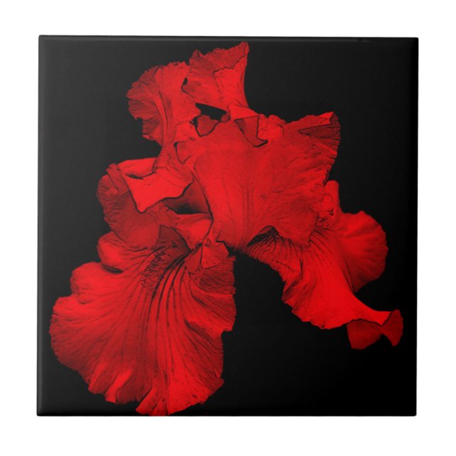 Azulejo de Arte Floral Red Hot Iris (Frente)