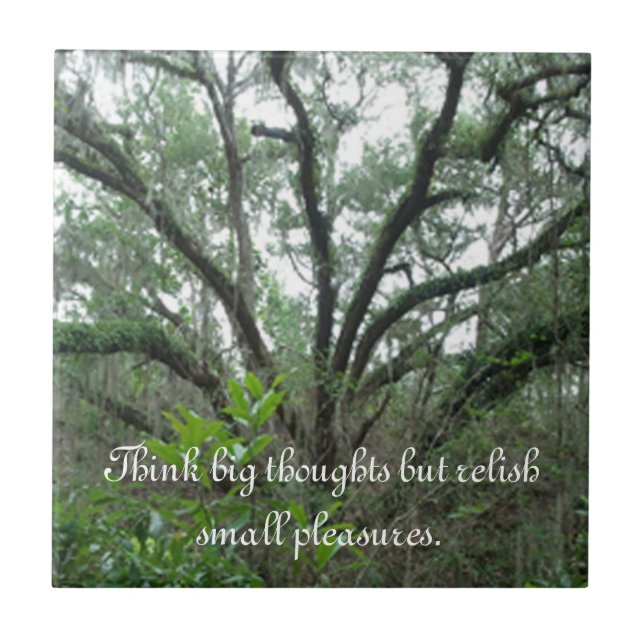 Azulejo de árvores tranquilo (Frente)