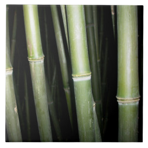 Azulejo de bambu da parede do design