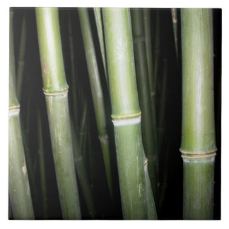Azulejo de bambu da parede do design