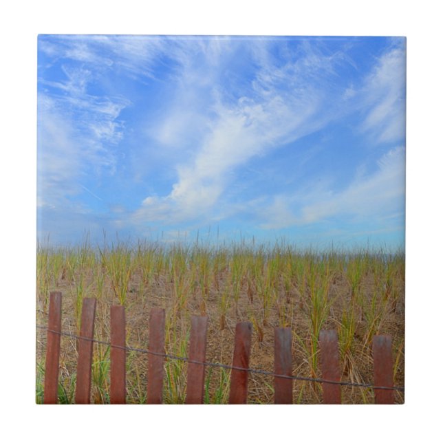 Azulejo De Beachê De Hammonasset (Frente)