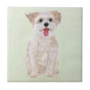 Azulejo de Cachorro Morkie
