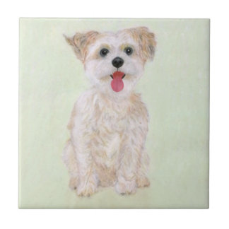 Azulejo de Cachorro Morkie