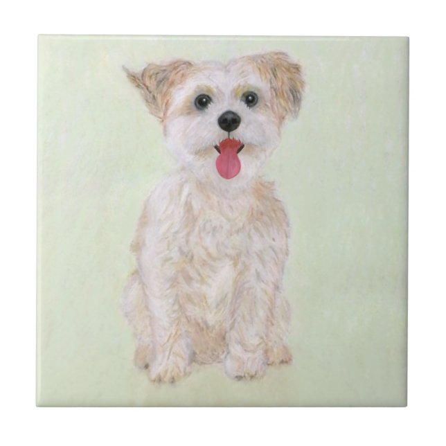 Azulejo de Cachorro Morkie (Frente)