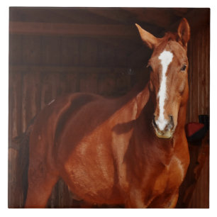 azulejo de cavalo de celeiro
