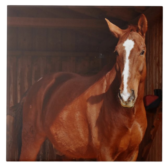 azulejo de cavalo de celeiro (Frente)