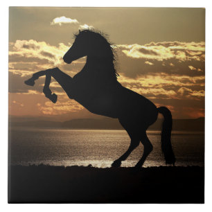 azulejo de cavalo do pôr do sol