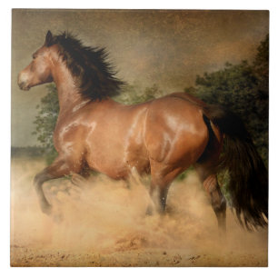 azulejo de cavalo selvagem