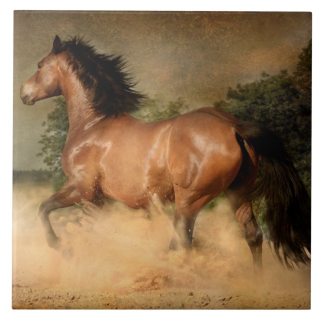 azulejo de cavalo selvagem (Frente)