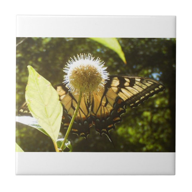 Azulejo de cerâmica Amarelo (Frente)