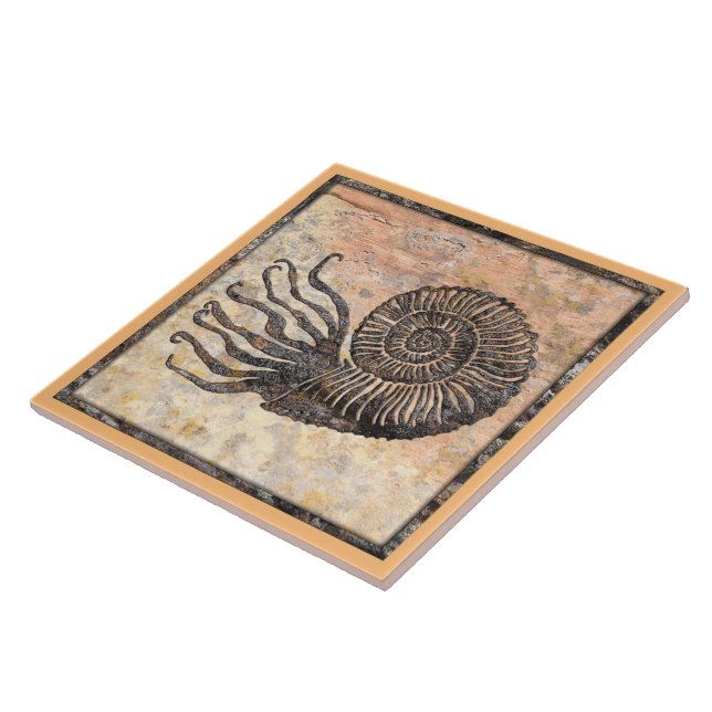 Azulejo de cerâmica ammonite fóssil (Lateral)