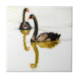 Azulejo de cerâmica Black Swan