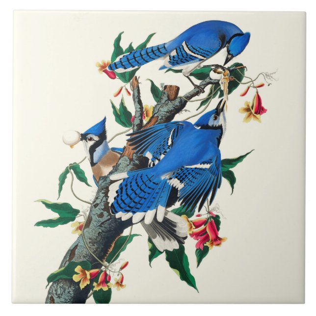 Azulejo de cerâmica Blue Jays (Frente)