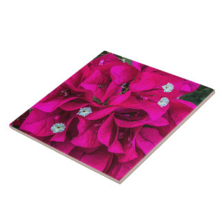 Azulejo de Cerâmica Bougainvillea Fala por Si Mesm