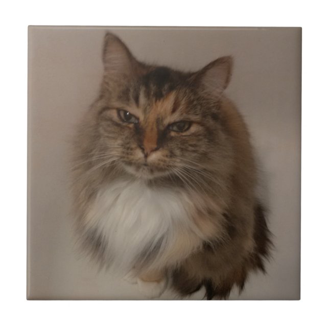 Azulejo de cerâmica Calico Cat (Frente)