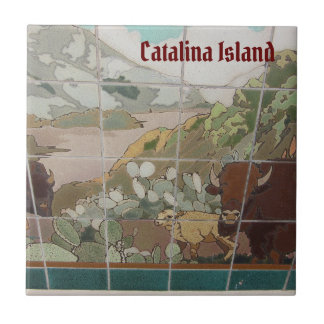 AZULEJO DE CERÂMICA DA ILHA CATALINA CATALINA BÚFA