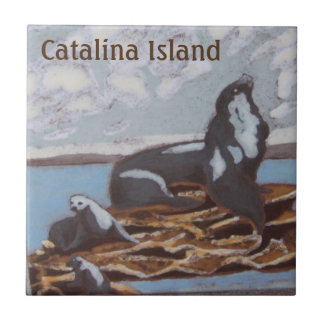 AZULEJO DE CERÂMICA DA ILHA CATALINA FAMÍLIA CATAL