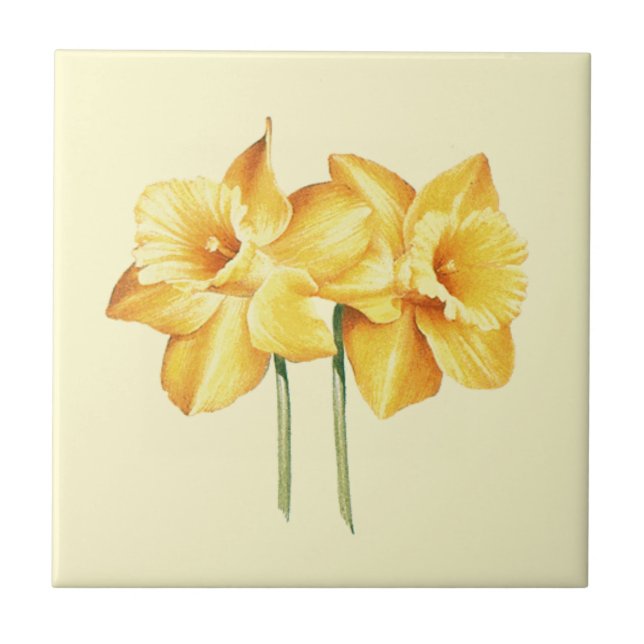 Azulejo de cerâmica Daffodil Amarelo (Frente)