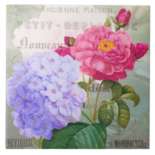 Azulejo de cerâmica das flores roxas, cor-de-rosa