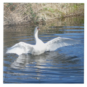 Azulejo de Cerâmica de Cisne com Asas Estendidas n