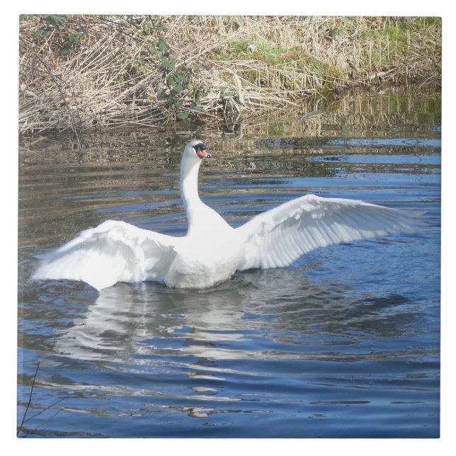 Azulejo de Cerâmica de Cisne com Asas Estendidas n (Frente)