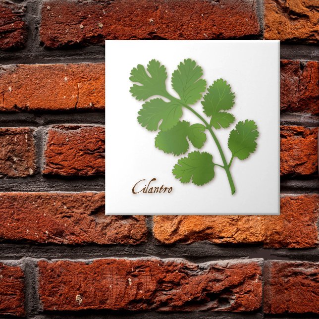 Azulejo de Cerâmica de Coentro (Cilantro Herb Ceramic Tile, aromatic leaves with a distinctive flavor. )